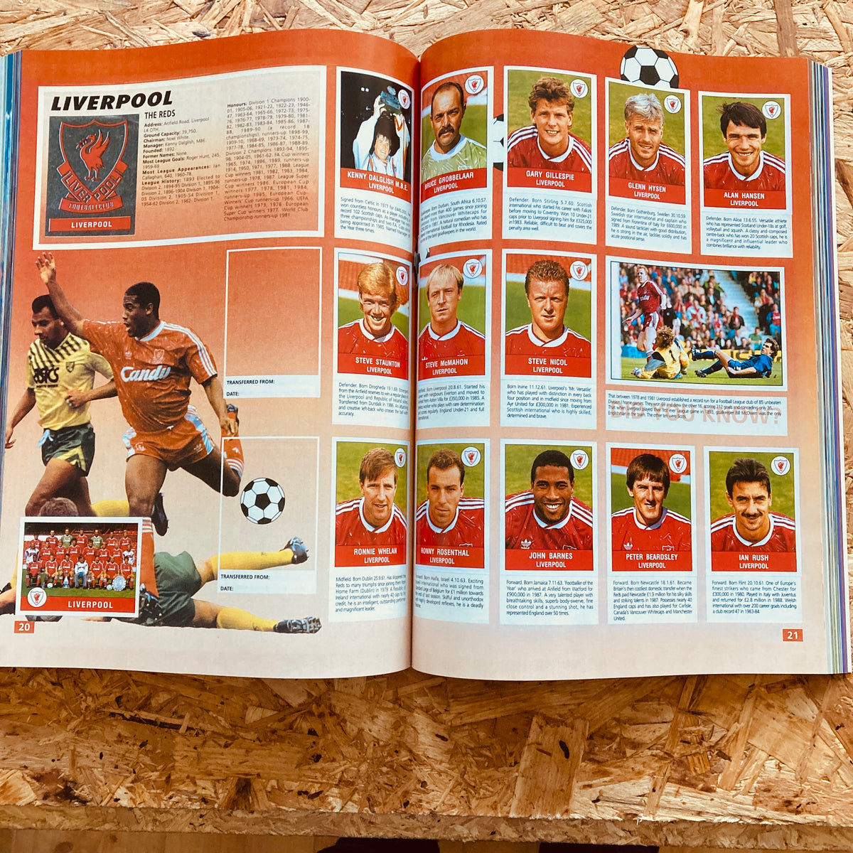 Panini UK Football Sticker Collections 1986-1993: : Panini: Bloomsbury Sport