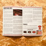 Alternative Wales #1