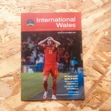 International Wales #24