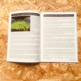 Welsh Football #233