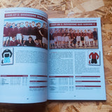 There is only one jersey: History of the football colors of Salernitana