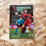 International Wales #15
