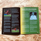International Wales #15