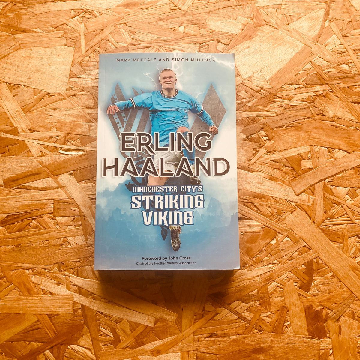 Erling Haaland: Manchester Citys angribende viking