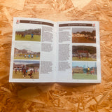 Welsh Football #264