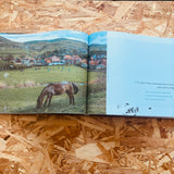 Backyard Goals: A Journey Through the Hidden Landscapes of Hungarian Football