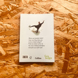 Football Skills (Fully Booked)