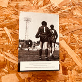 The Gulls 1985-05