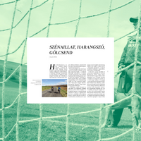 Backyard Goals: A Journey Through the Hidden Landscapes of Hungarian Football - **PREORDER**